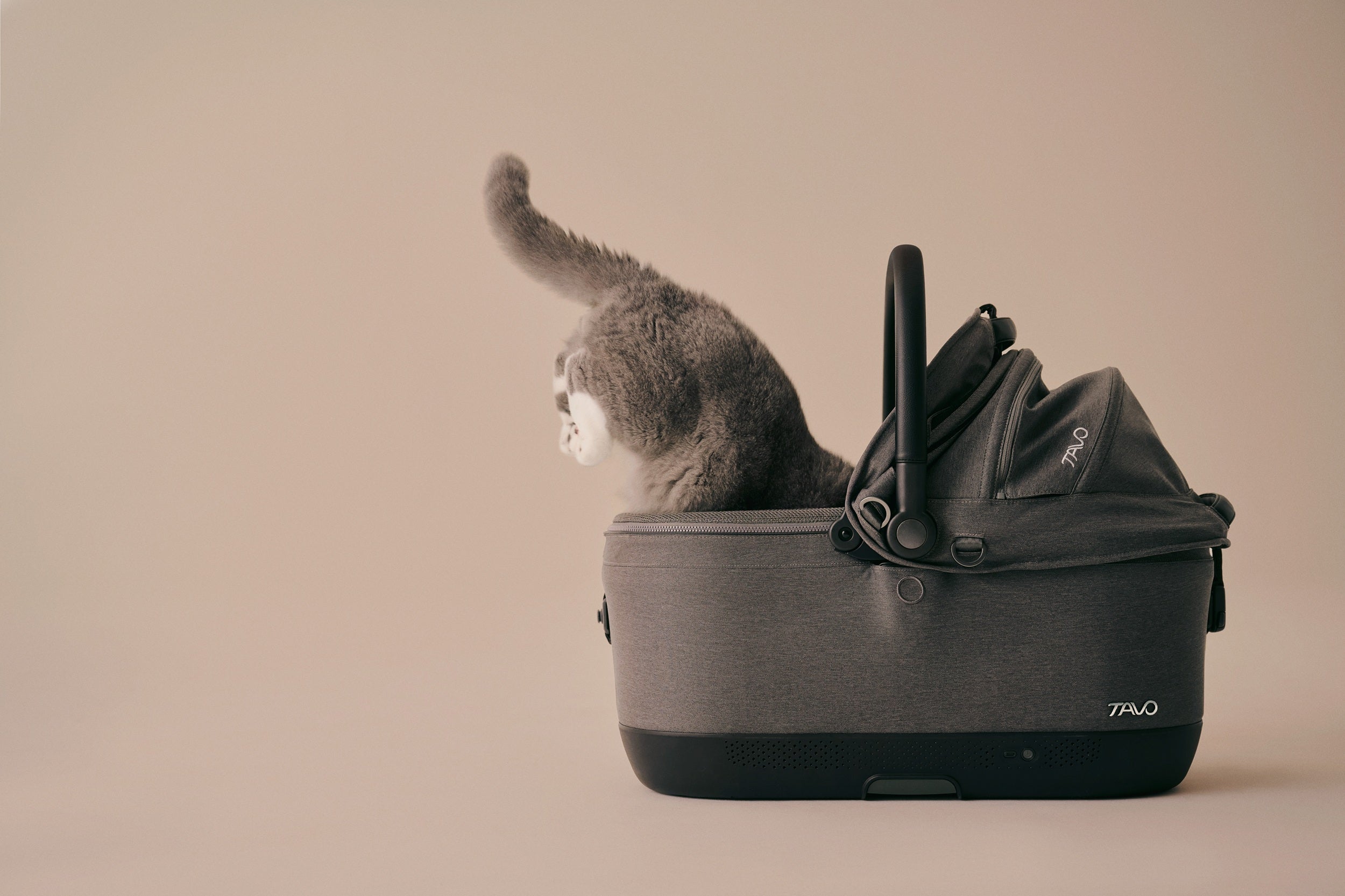 [Pre Order Offer] Tavo Pets Carrier and Safety Car Seat, Maeve ISO Wind in Ashen