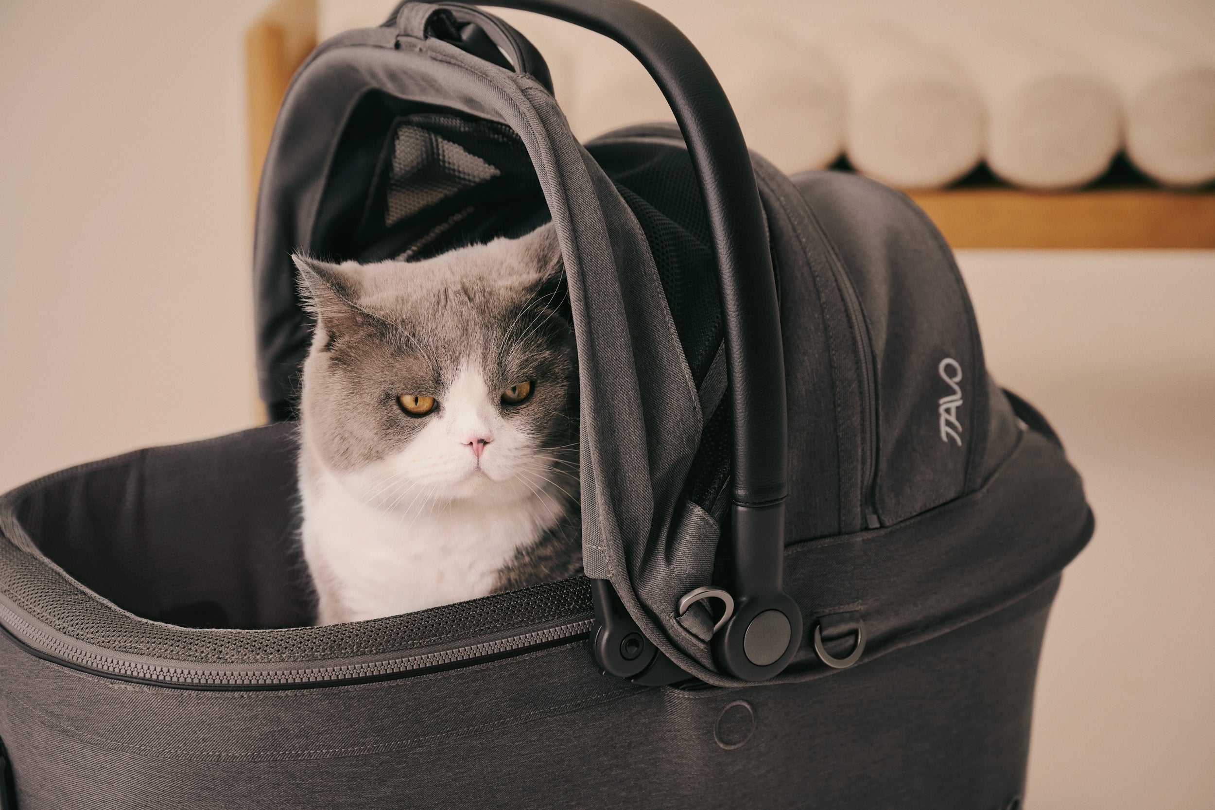 [Pre Order Offer] Tavo Pets Carrier and Safety Car Seat, Maeve ISO Wind in Ashen