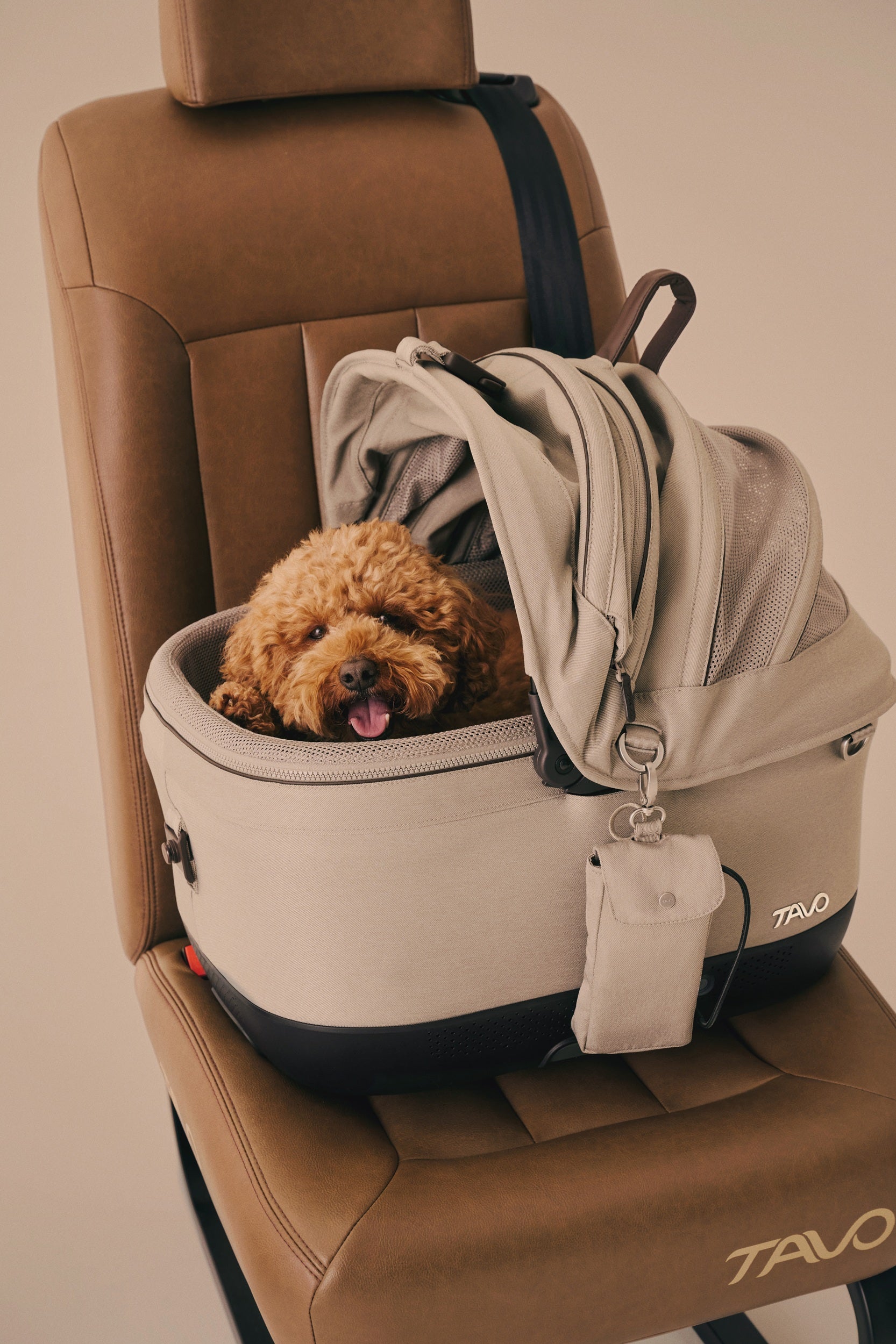 [Pre Order Offer] Tavo Pets Carrier and Safety Car Seat, Maeve ISO Wind in Fawn