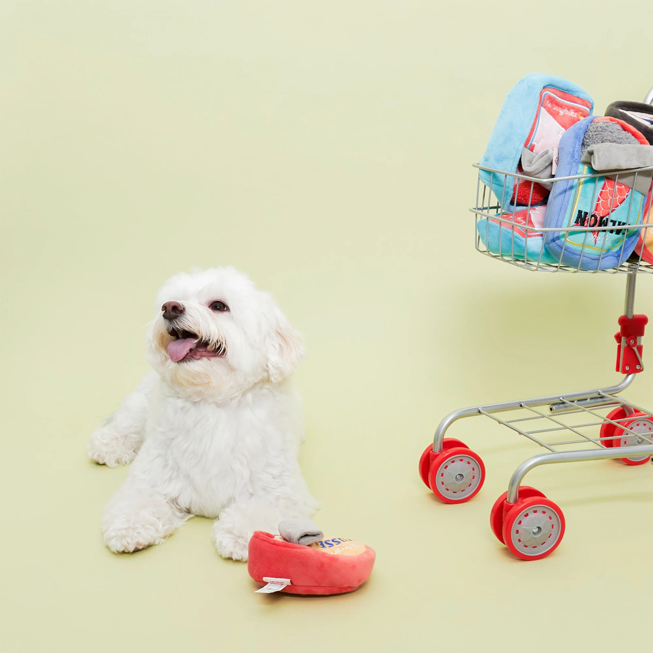 Interactive Nosework Dog Toy, Tinned Mussel