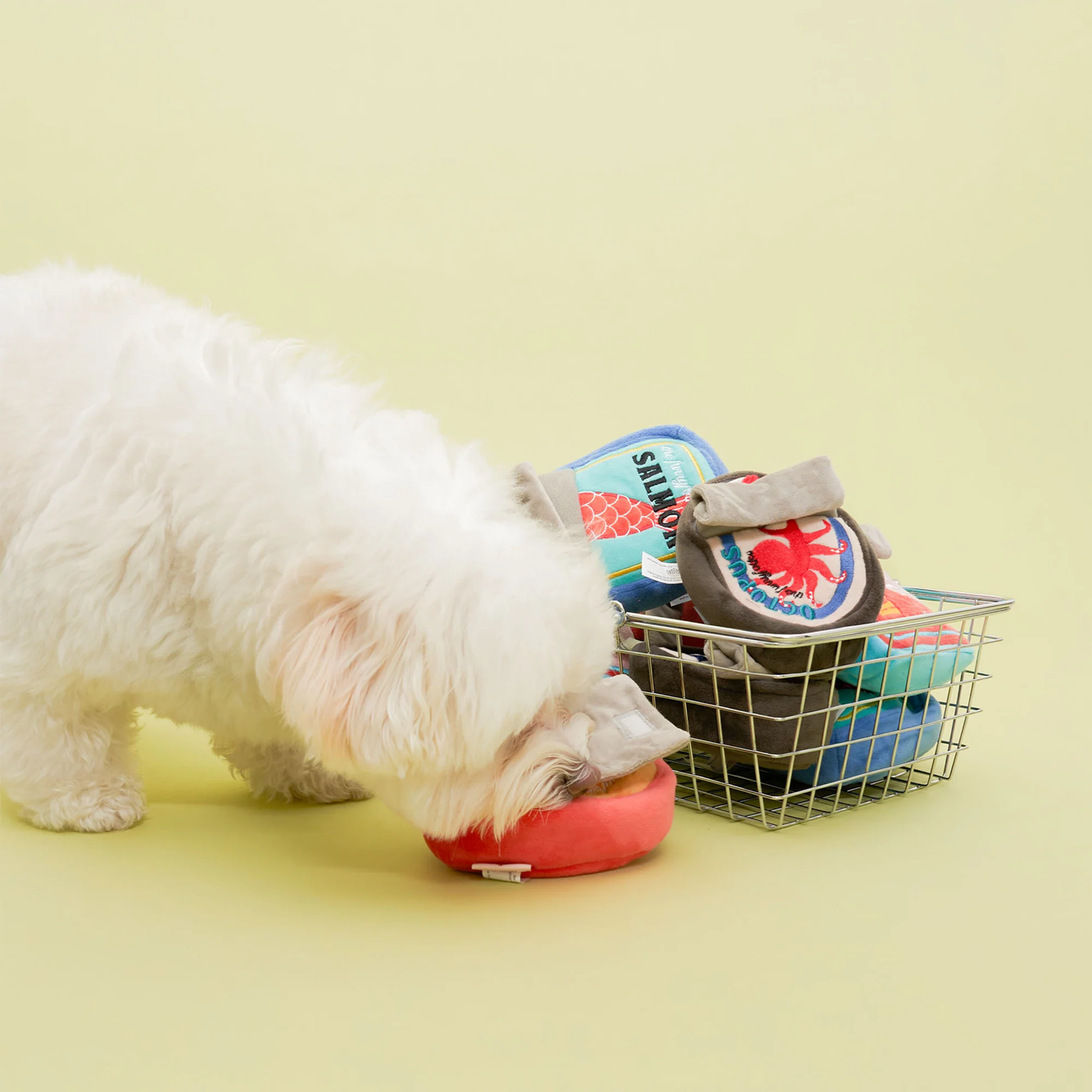 Interactive Nosework Dog Toy, Tinned Mussel