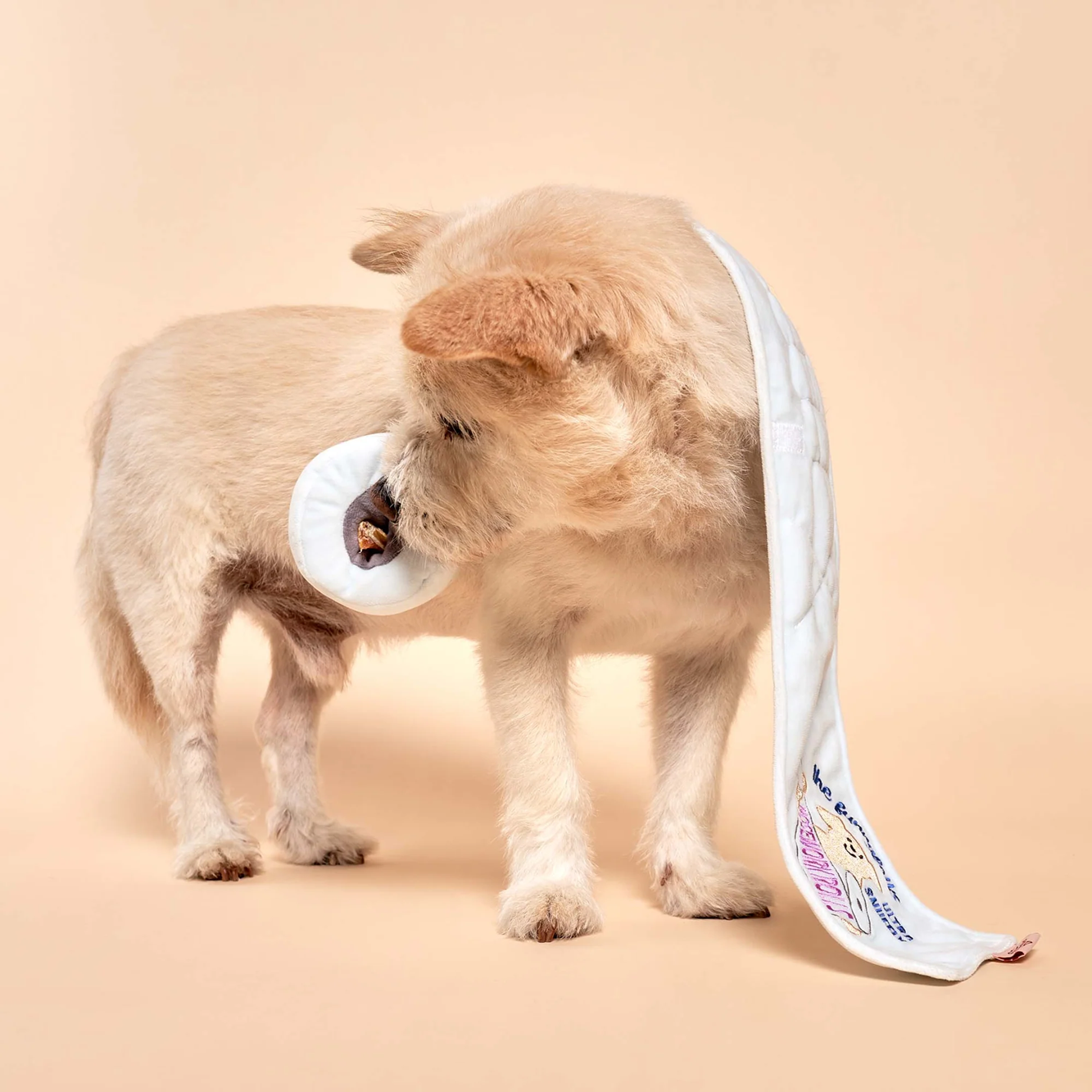 Interactive Nosework Dog Toy, Toilet Paper