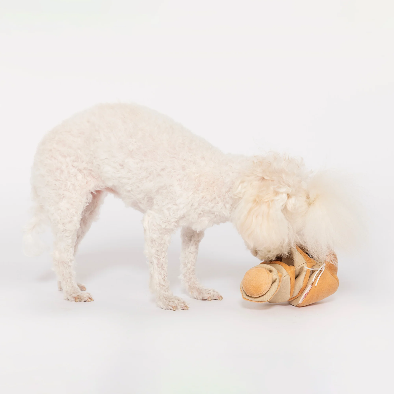 Interactive Nosework Dog Toy, Yellow Onion