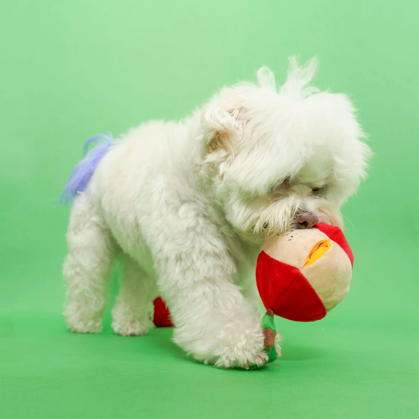 Squeaky Interactive Nosework Dog Toy, Apple