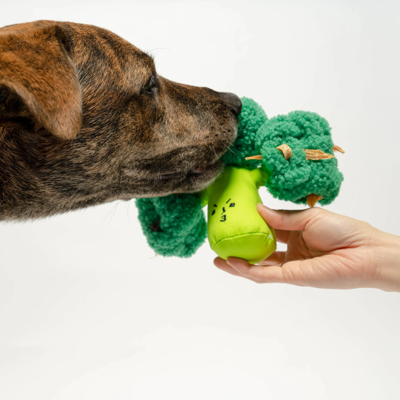 Squeaky Interactive Nosework Dog Toy, Broccoli