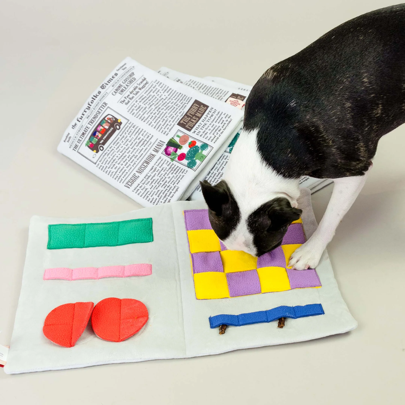 Squeaky Interactive Nosework Dog Toy, Newspaper