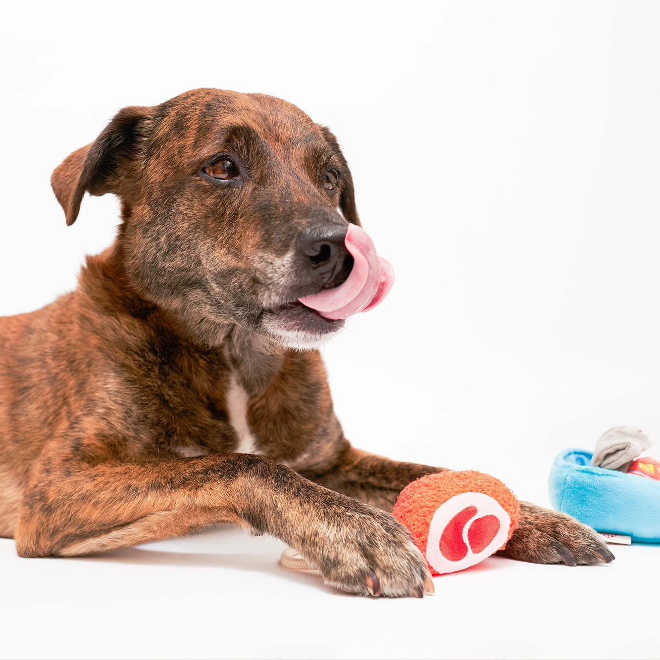 Squeaky Interactive Nosework Dog Toy, Tinned Jamón