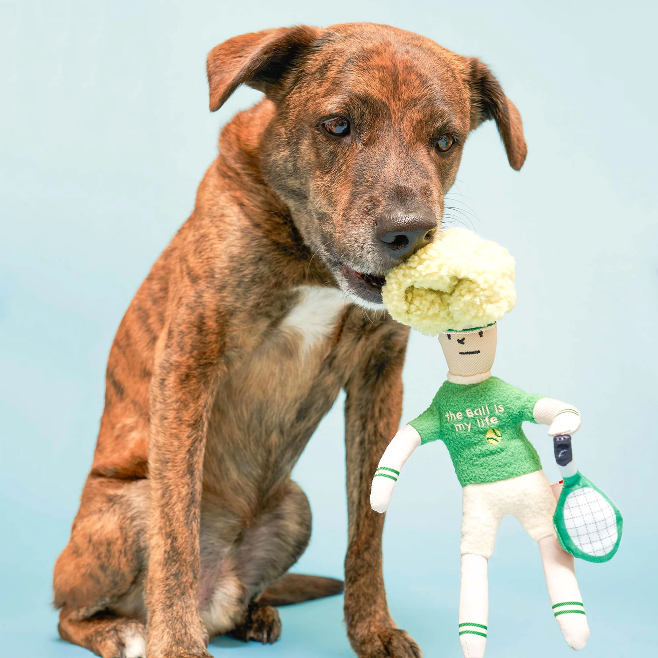 Squeaky Interactive Hooman Nosework Dog Toy, Tennis