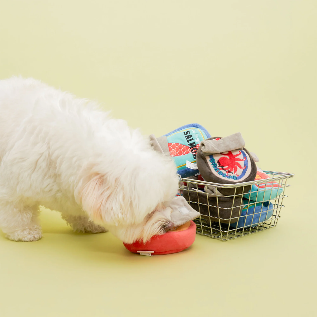 Squeaky Interactive Nosework Dog Toy, Tinned Salmon