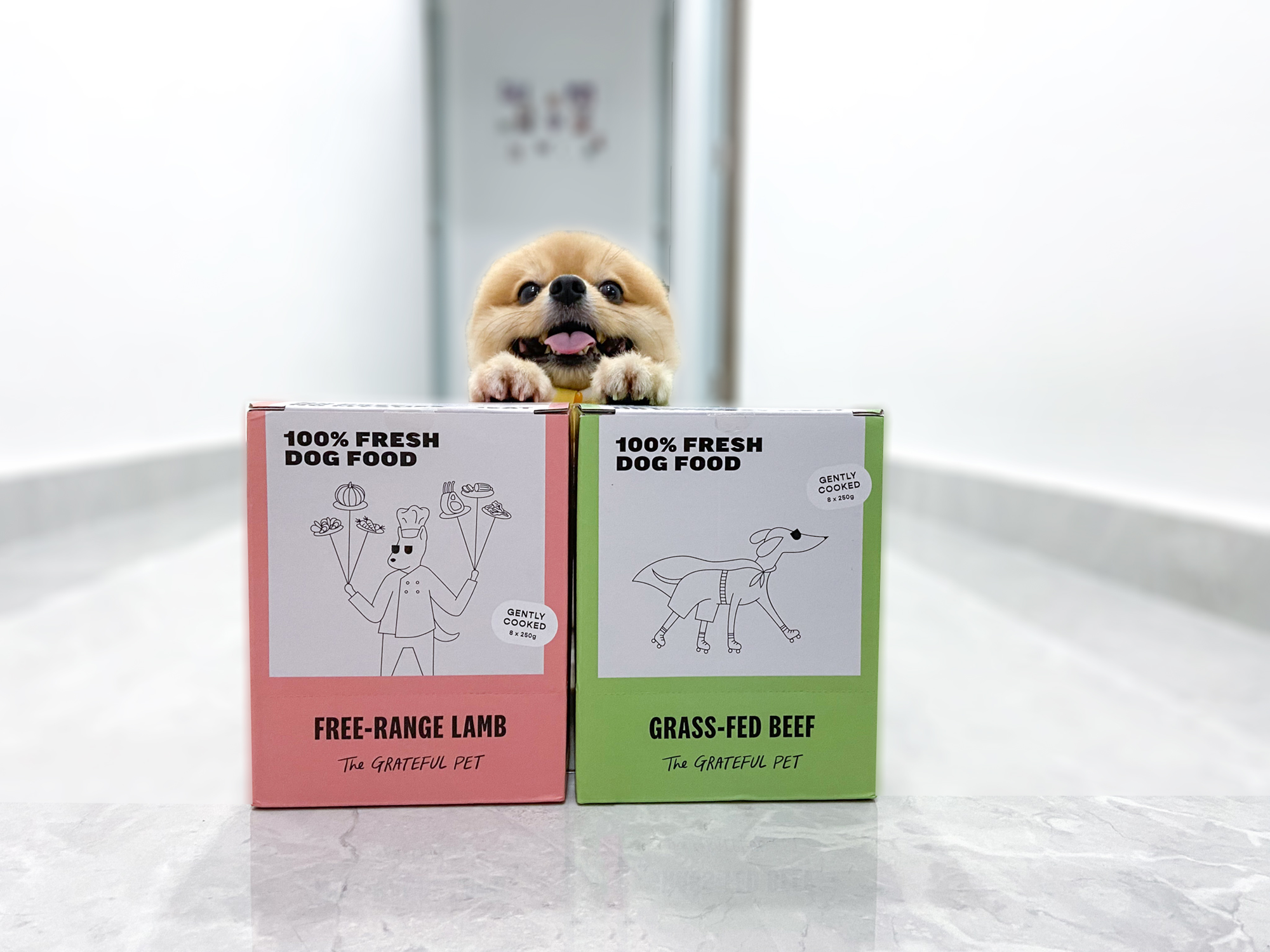 The Grateful Pet: Cooked Food for Dogs, Grass-fed Beef