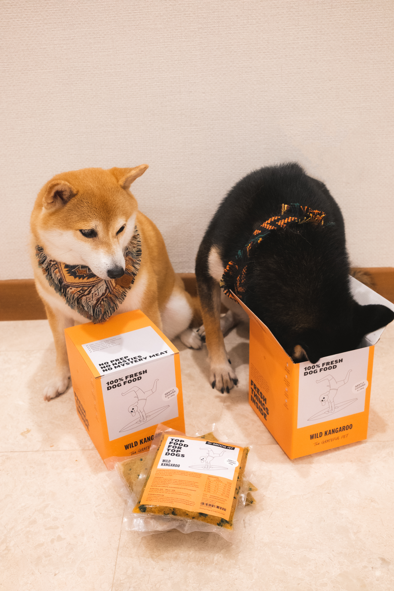 The Grateful Pet: Cooked Food for Dogs, Wild Kangaroo Meat