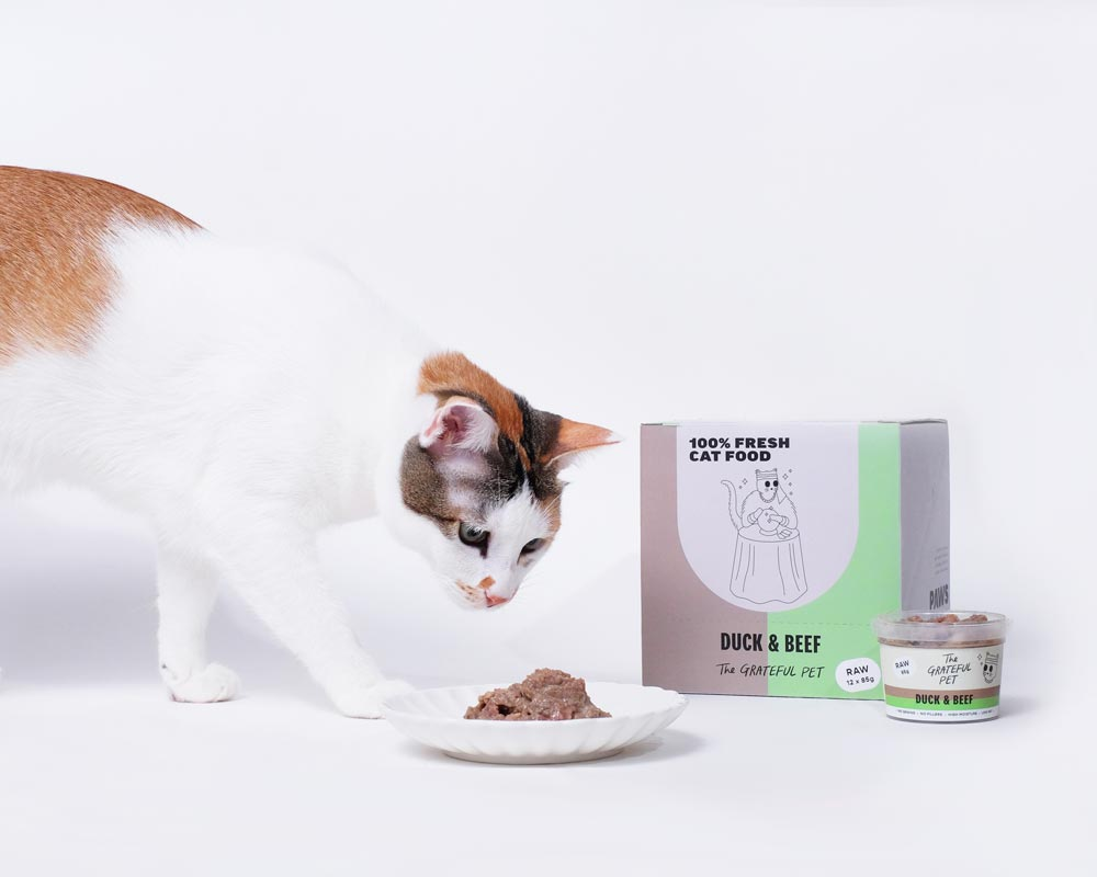 The Grateful Pet: Raw Food for Cats, 4 Tubs Mix & Match