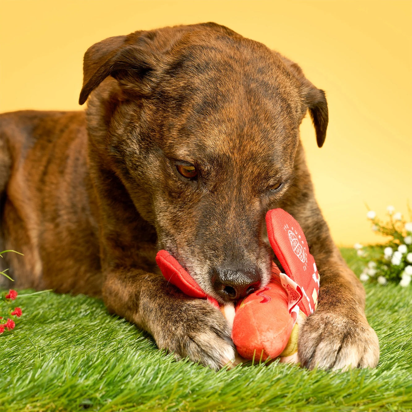 The Furryfolks Hot Doggie Dog Enrichment Toy | Squeaky Nosework Plush