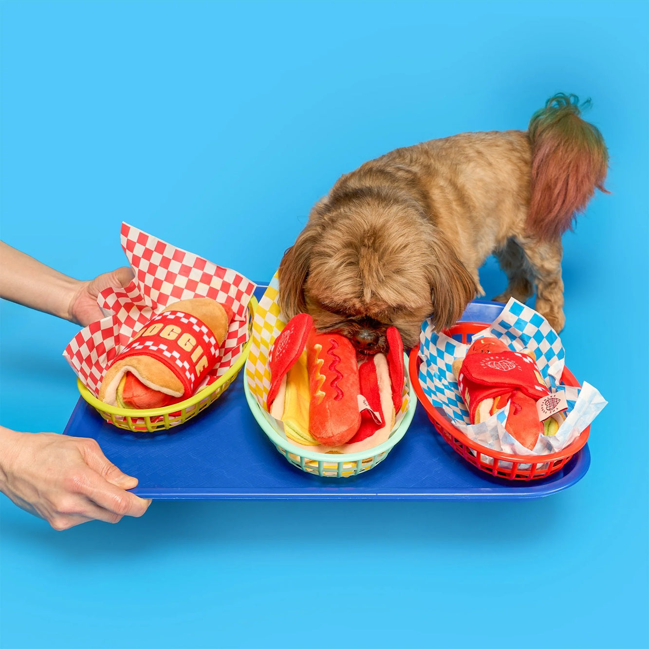 The Furryfolks Hot Doggie Dog Enrichment Toy | Squeaky Nosework Plush