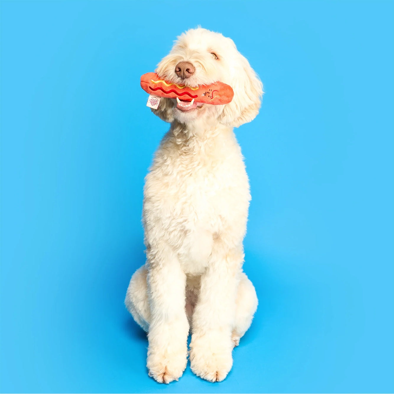 The Furryfolks Hot Doggie Dog Enrichment Toy | Squeaky Nosework Plush