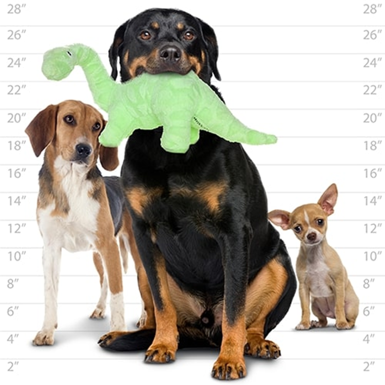 Mighty Dinosaur Dog Tug and Fetch Toys, Brachiosaurus (mini and regular size)