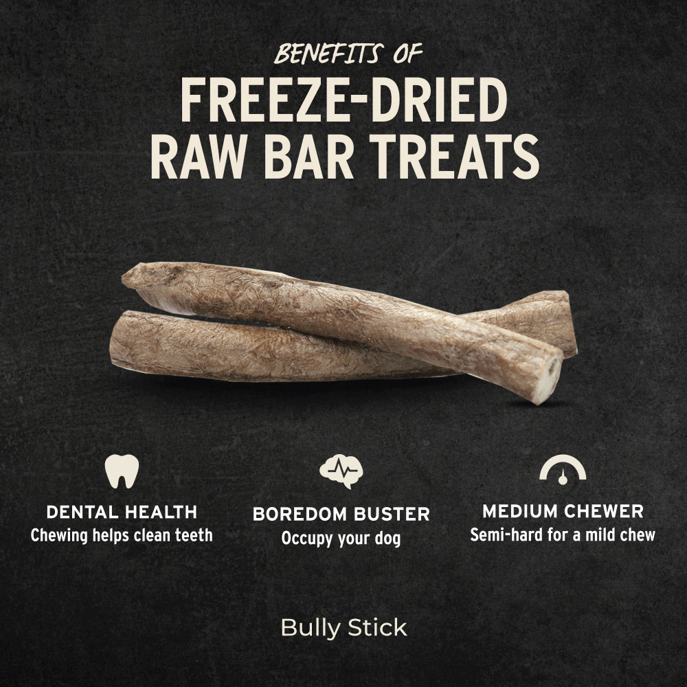 Vital Essentials Freeze Dried Raw Bully Stick 0.5oz dental health and immune support for dogs 