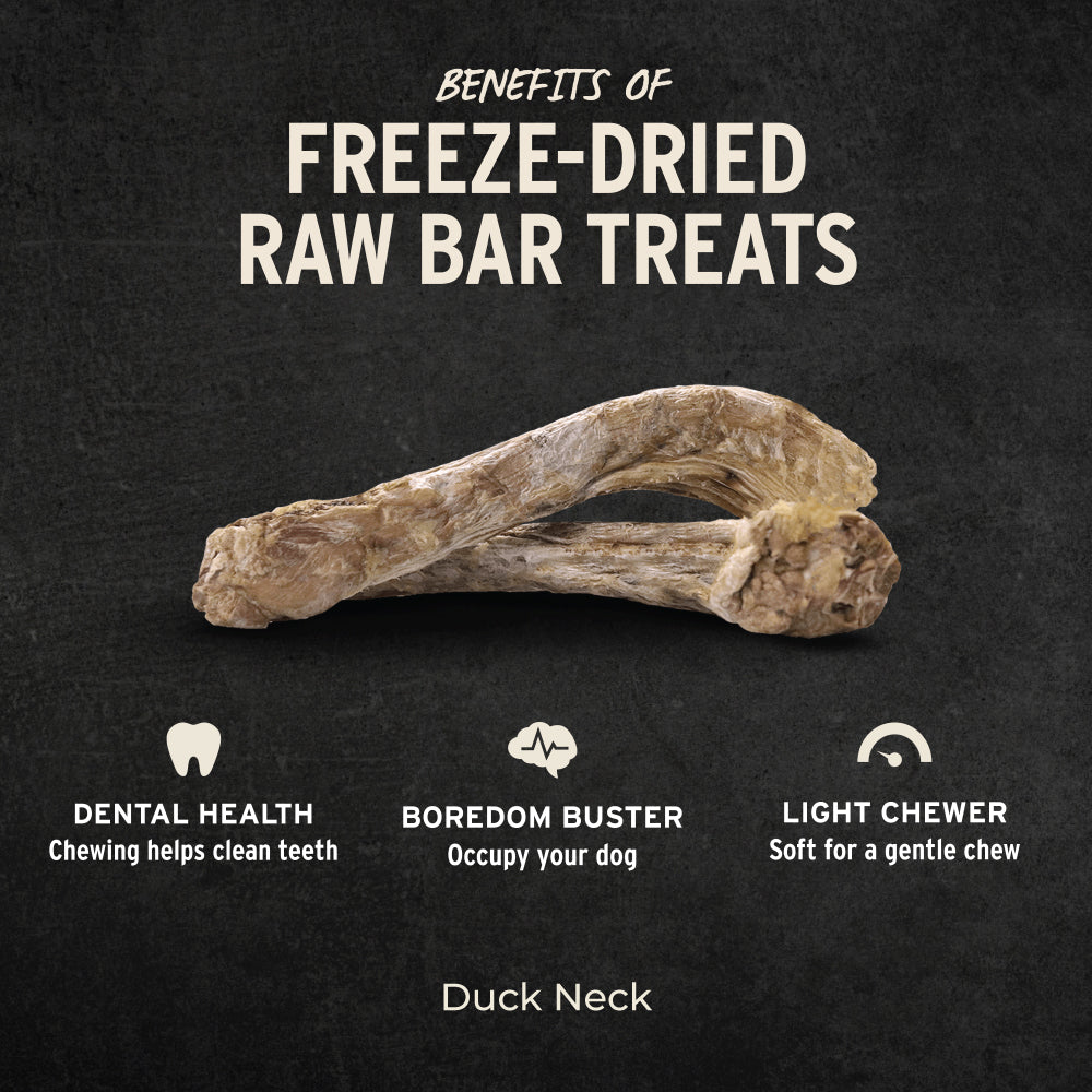 Vital Essentials freeze dried raw bar grain free single protein duck neck  0.7oz dog treat 