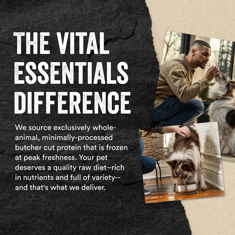 Vital Essentials premium freeze dried raw animal dog food crunchy mini nibs made with responsibly sourced butcher cut protein.