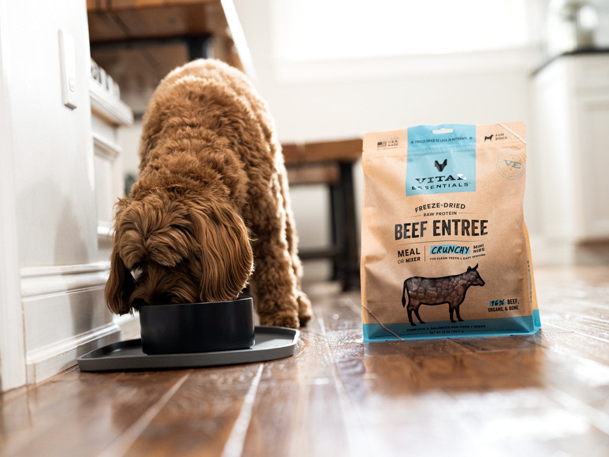 Vital Essentials Freeze Dried Raw Dog Food Crunchy Mini Nibs, Beef Entree