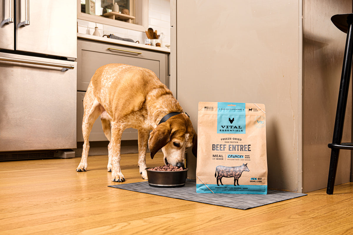 Vital Essentials nutrient rich butcher cut whole beef protein ingredients for healthy raw dog diet and muscle 