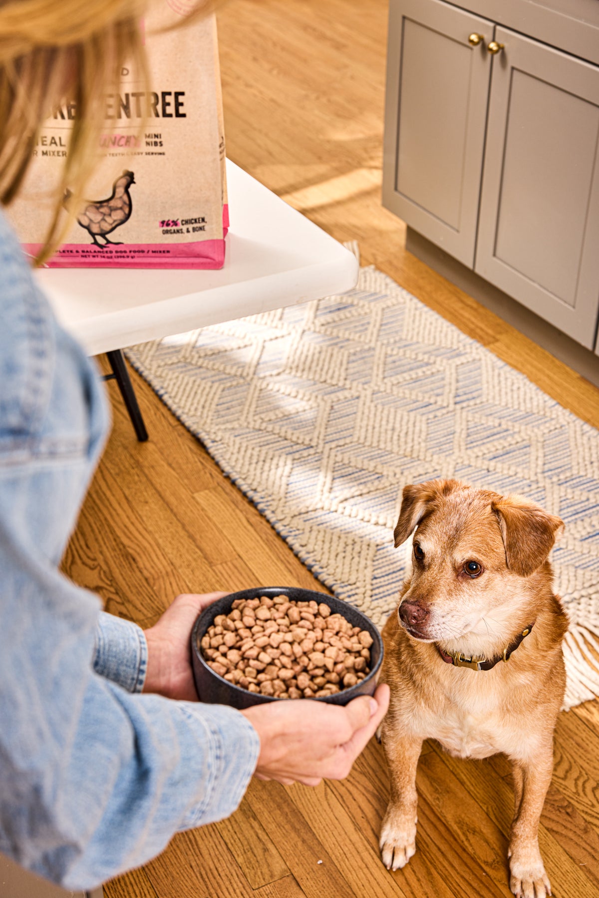 Vital Essentials premium freeze dried raw chicken dog food crunchy mini nibs made with responsibly sourced butcher cut protein.