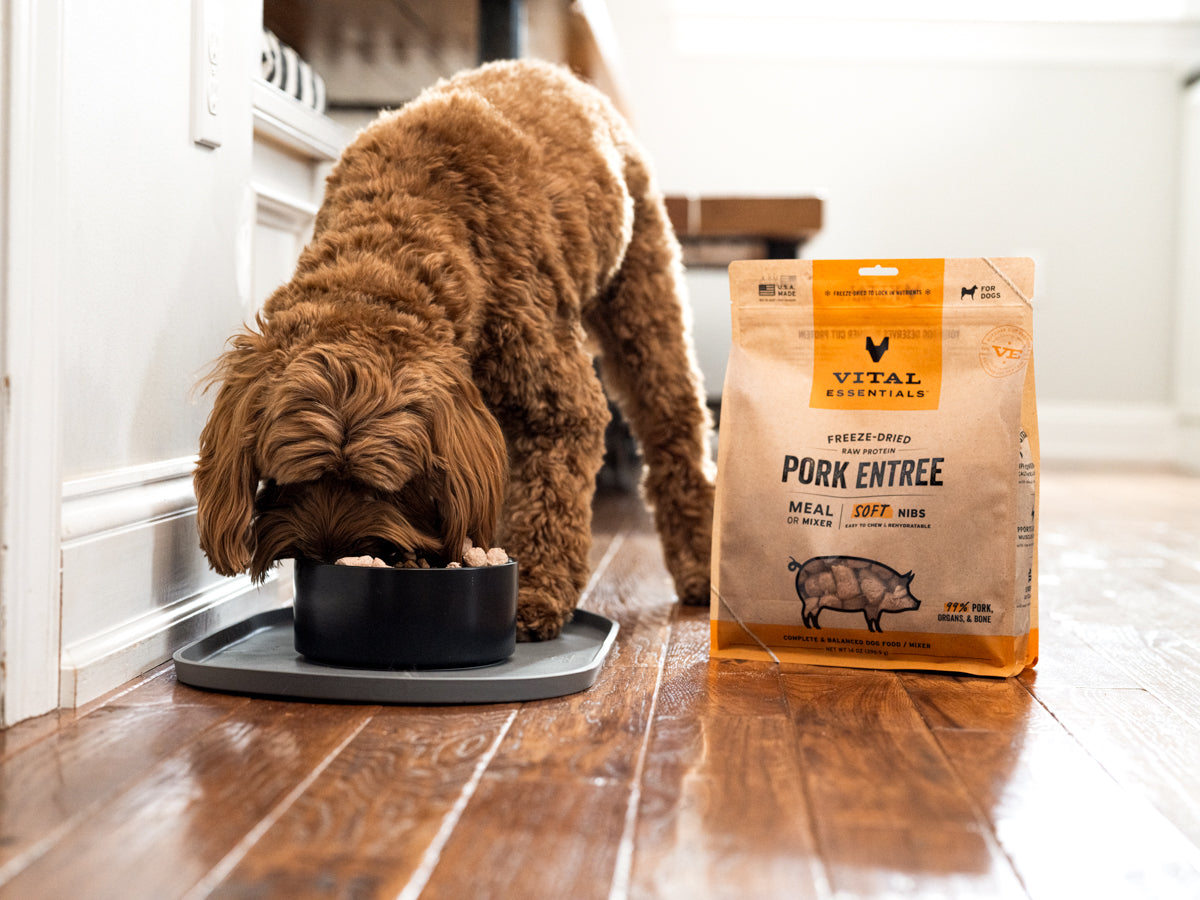 Vital Essentials freeze dried 99% raw protein pork dog food soft nibs