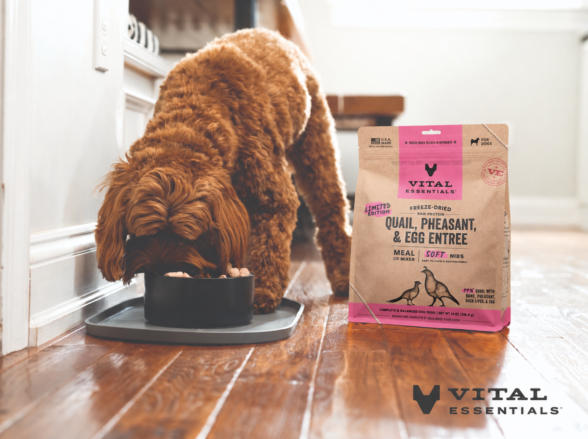 Vital Essentials freeze-dried raw soft nibs quail pheasant and egg 14oz nutrient-packed novel protein dog food bowl booster.