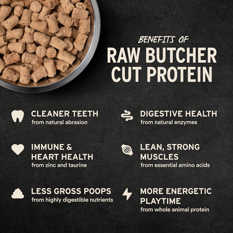 Vital Essentials Freeze-dried raw dog food packed with whole animal protein for building lean strong muscles. 