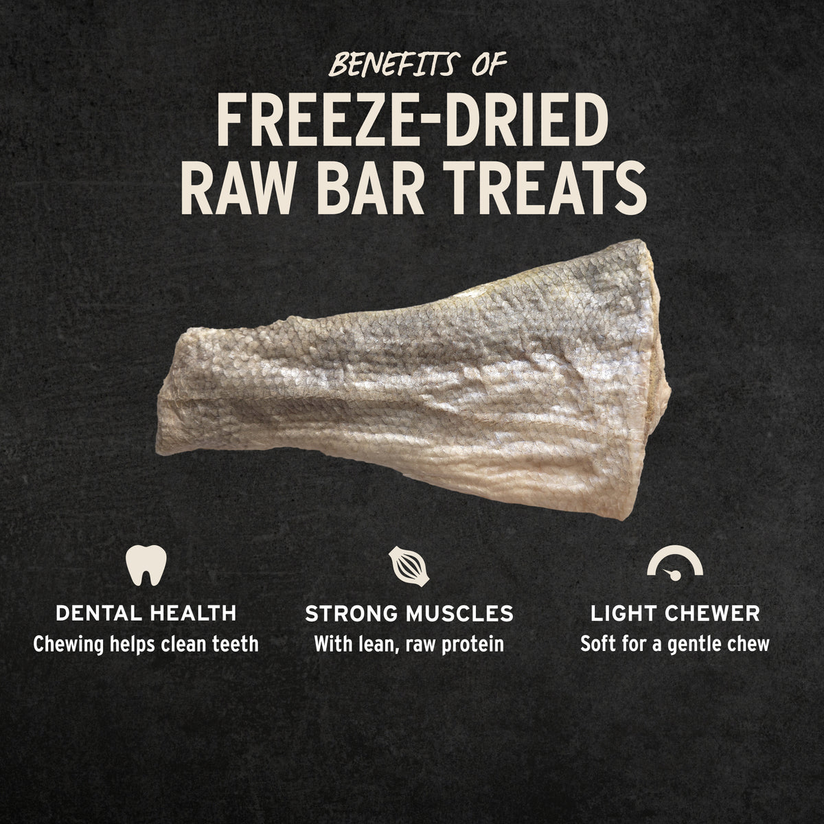 Vital Essentials grain free, single ingredient freeze dried raw silver carp fish treat for dogs, sourced responsibly to help restore balance to natural wild waterways.