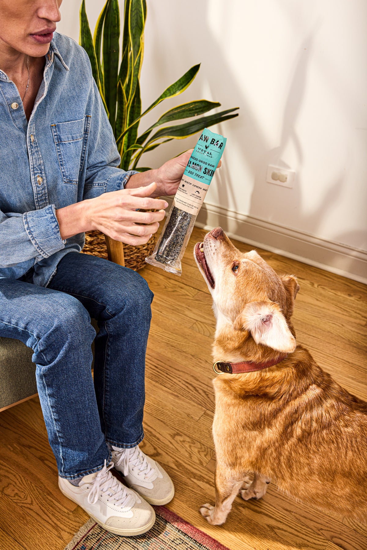 Vital Essentials grain free, single ingredient freeze dried raw silver carp fish treat for dogs, sourced responsibly to help restore balance to natural wild waterways.