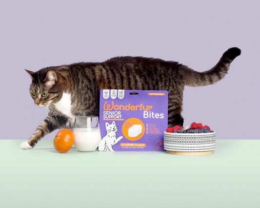 Wonderfur Bites Treats for Cats, Senior Support