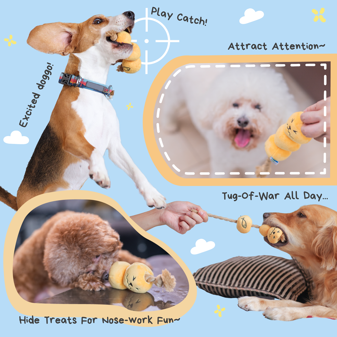 Woof² Curry Fishball Interactive Rope Pull Squeaky Dog Toy