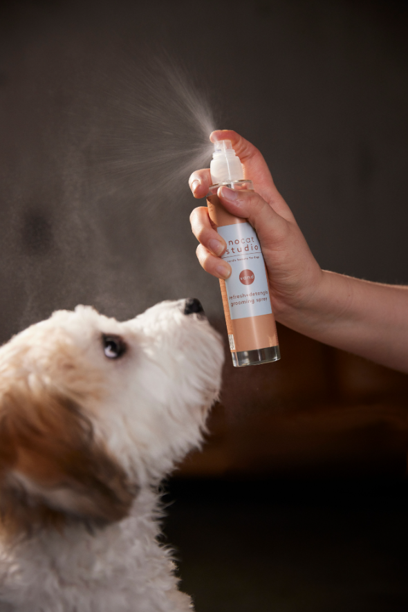 nocat studio travel size refresh+detangle dog and cat grooming spray, VAND