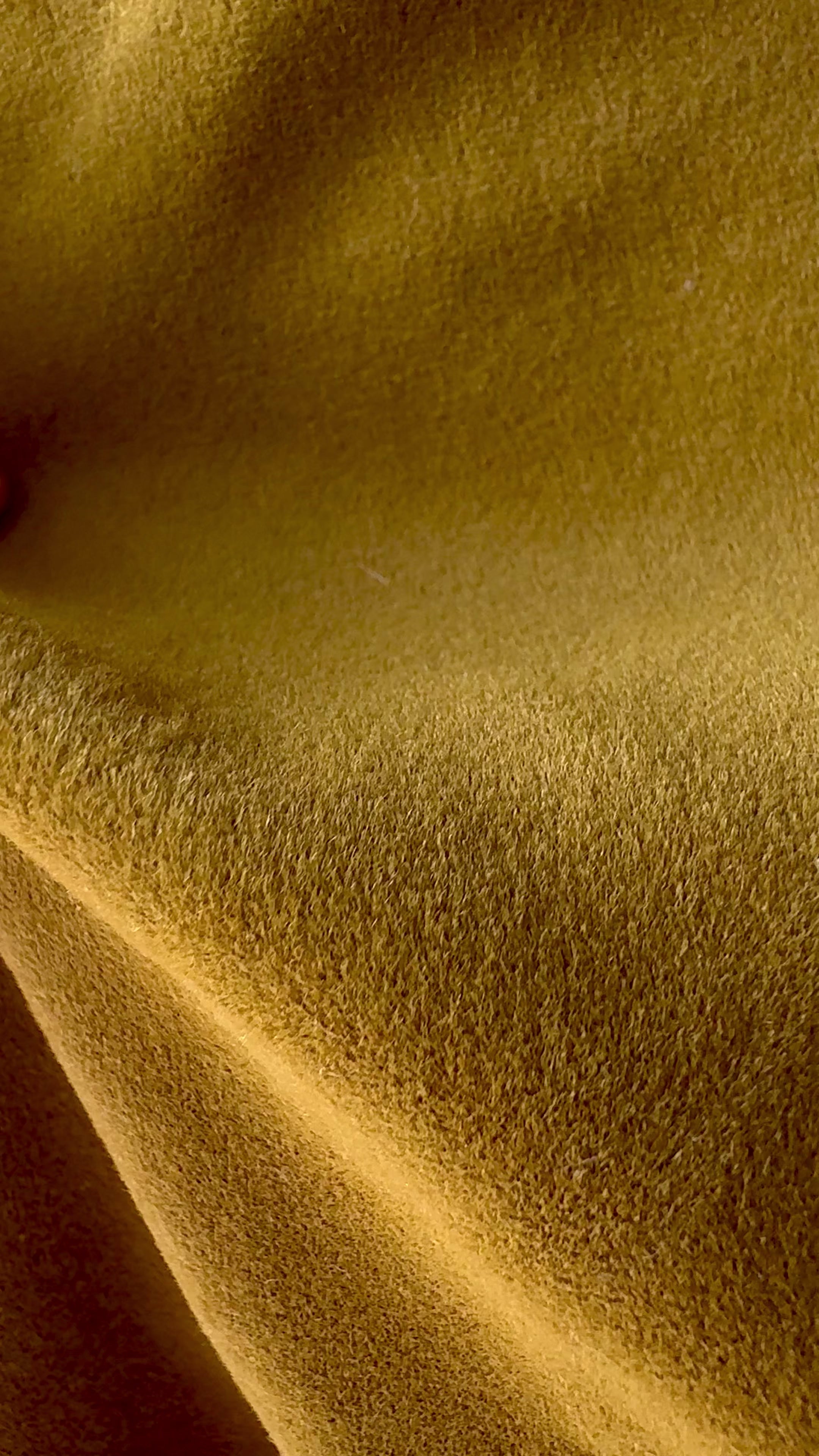 Band & Roll Haven Modern Dog Bed | Washable Cushion Dog Bed
