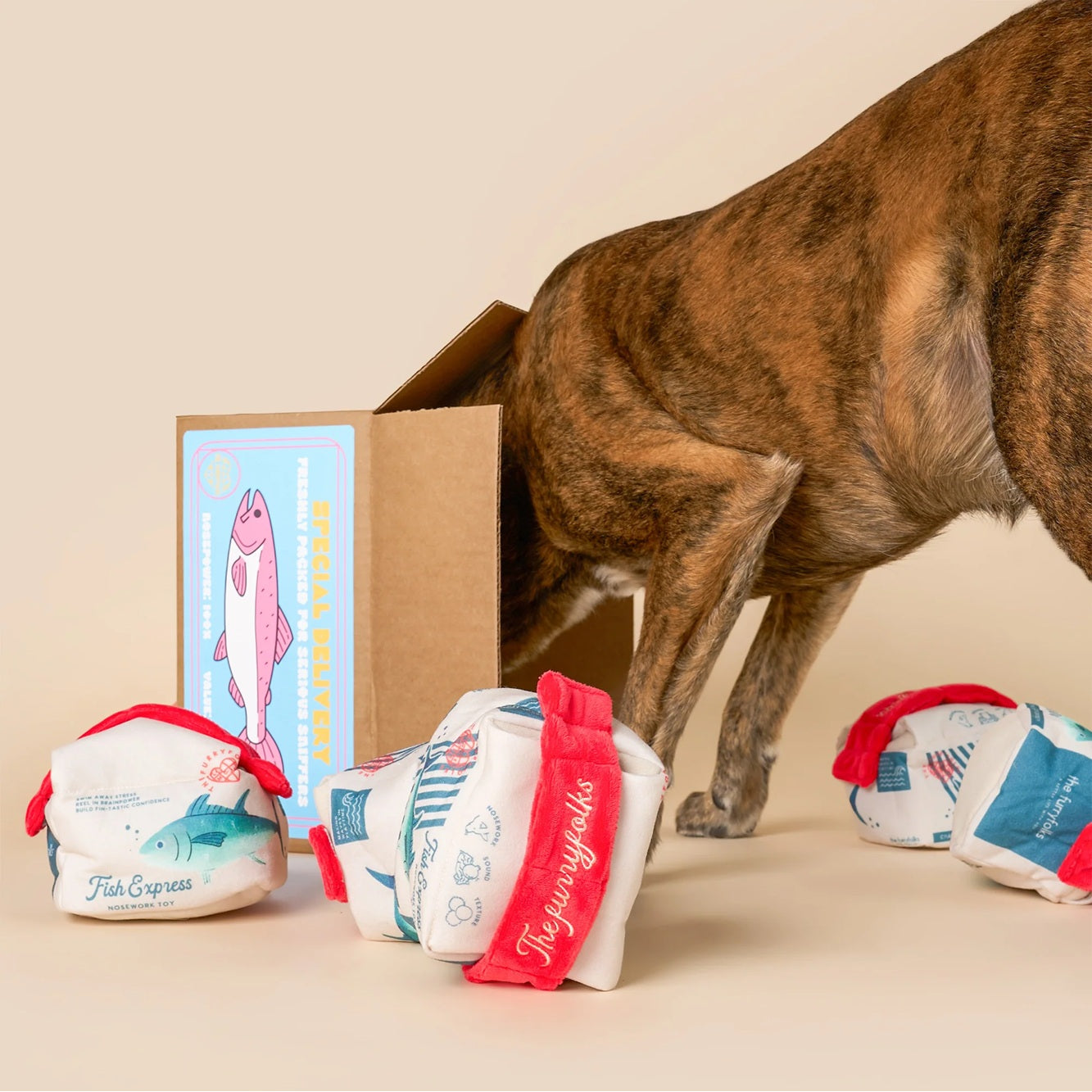 The Furryfolks Interactive Squeaky Dog Toy | Fish Express Nosework Puzzle