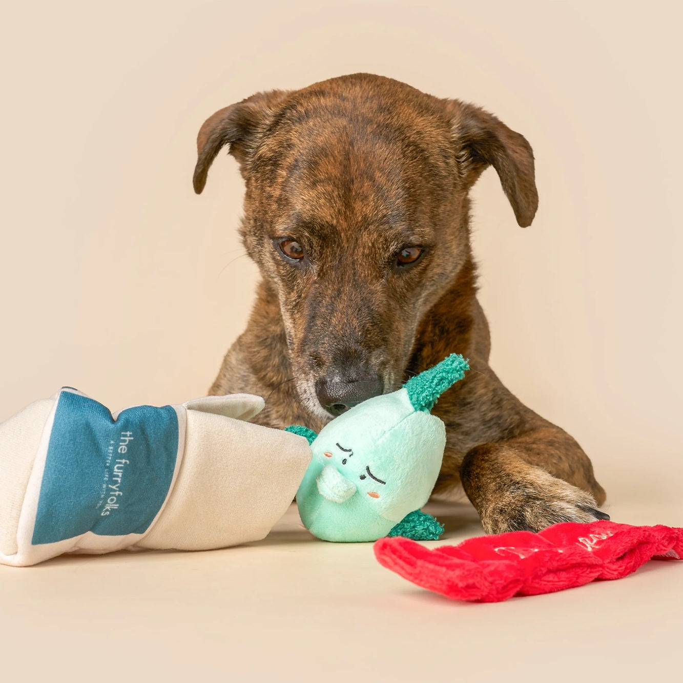 The Furryfolks Interactive Squeaky Dog Toy | Fish Express Nosework Puzzle