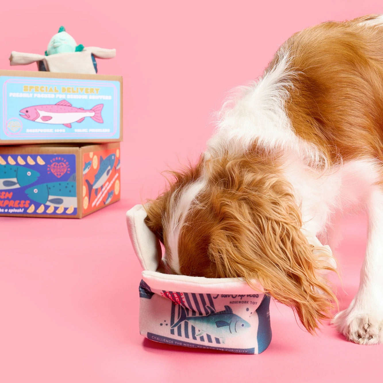 The Furryfolks Interactive Squeaky Dog Toy | Fish Express Nosework Puzzle
