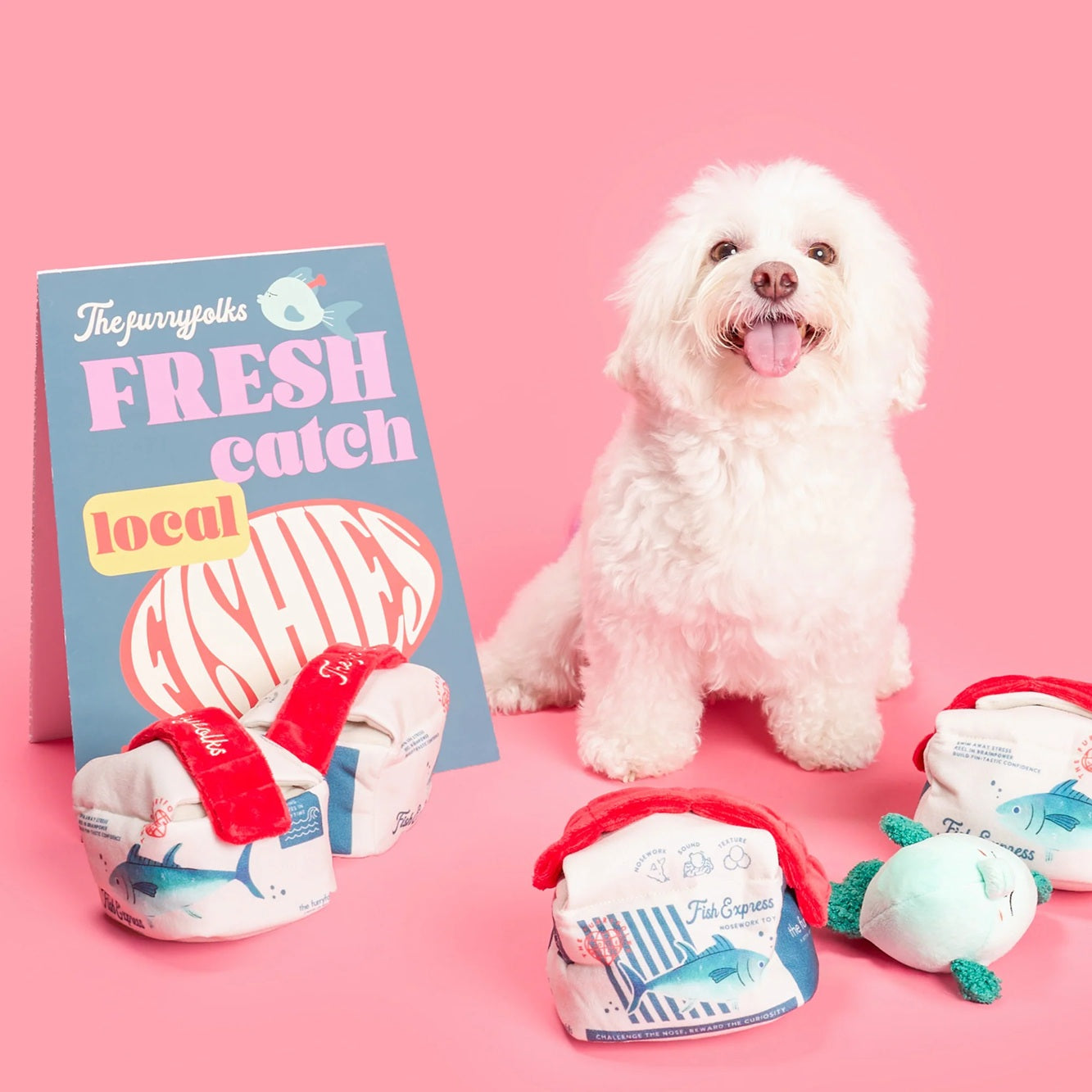The Furryfolks Interactive Squeaky Dog Toy | Fish Express Nosework Puzzle