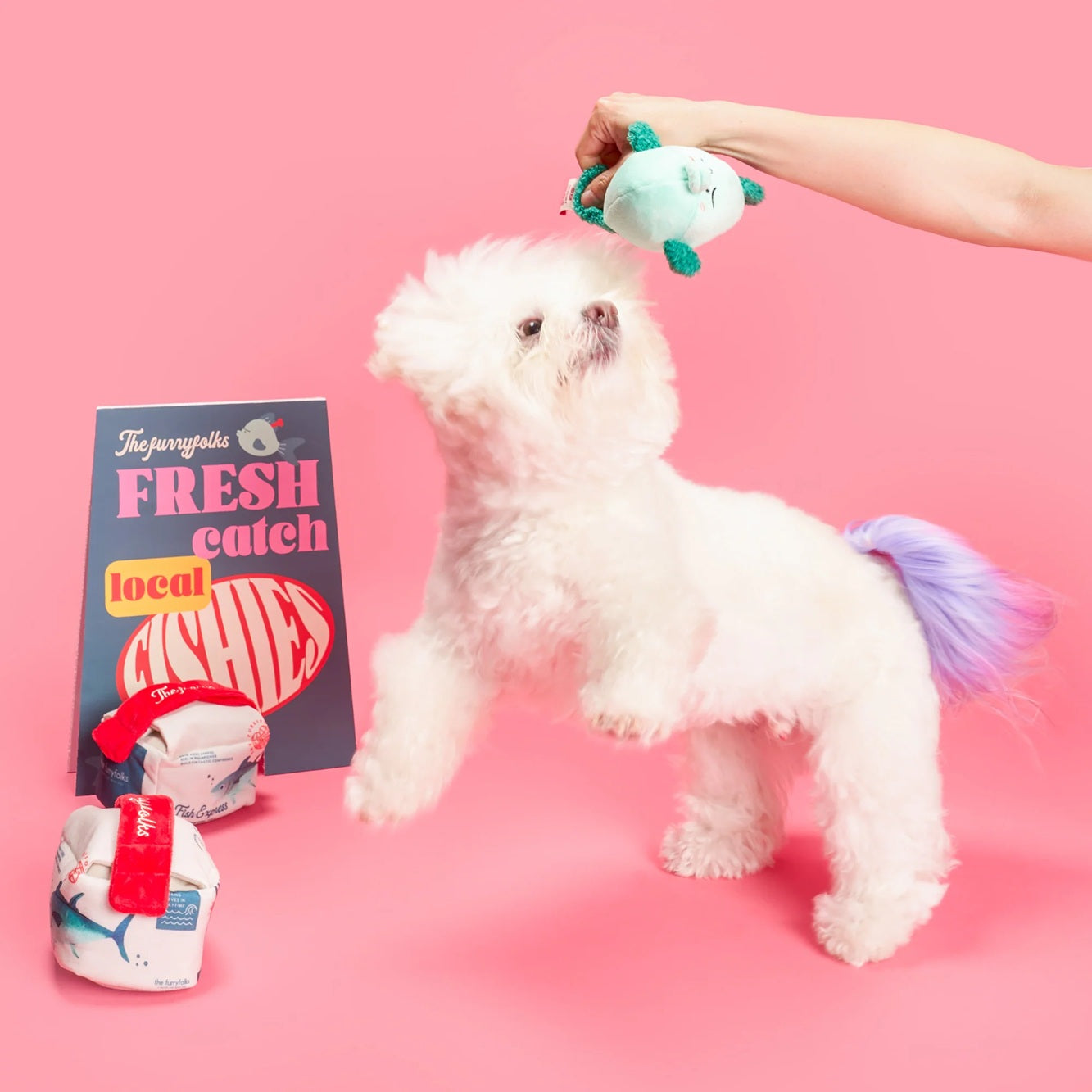 The Furryfolks Interactive Squeaky Dog Toy | Fish Express Nosework Puzzle