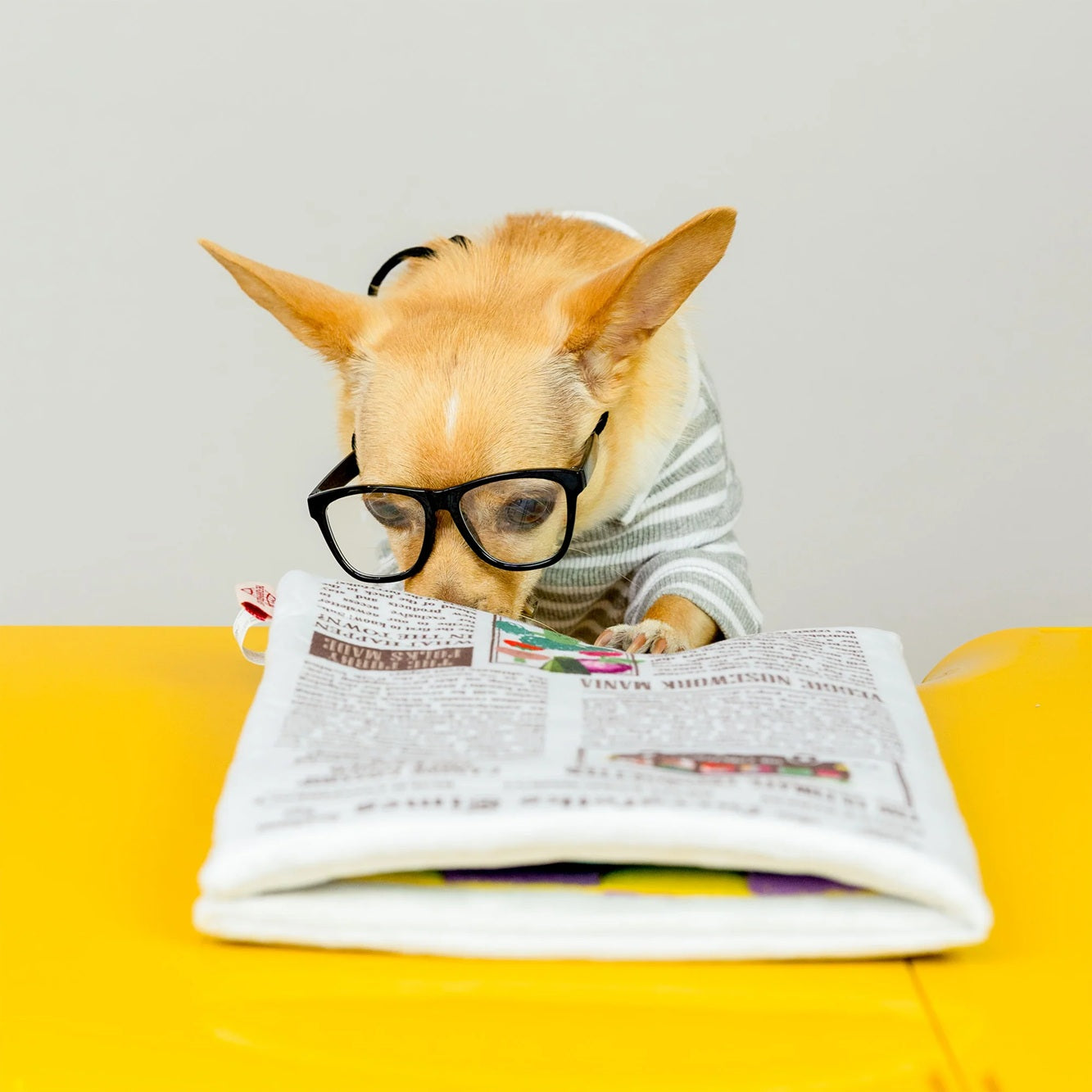  Squeaky newspaper-shaped soft toy for dogs, designed for interactive sniffing and treat hunting.