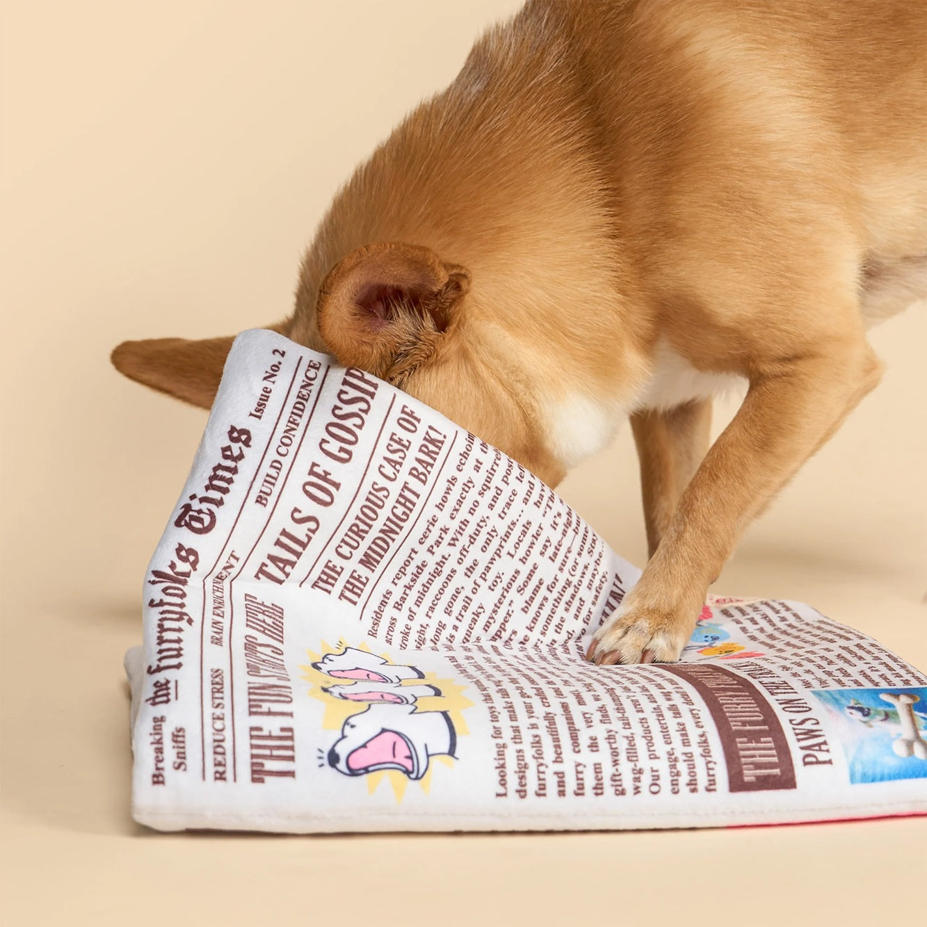 Squeaky newspaper-shaped soft toy for dogs, designed for interactive sniffing and treat hunting.