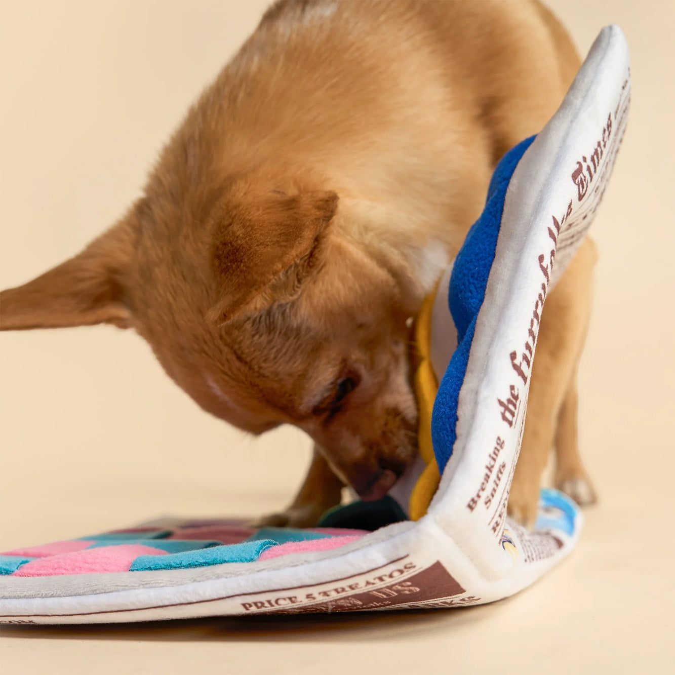 Squeaky newspaper-shaped soft toy for dogs, designed for interactive sniffing and treat hunting.