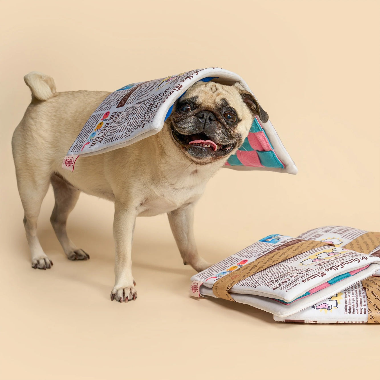 Squeaky newspaper-shaped soft toy for dogs, designed for interactive sniffing and treat hunting.