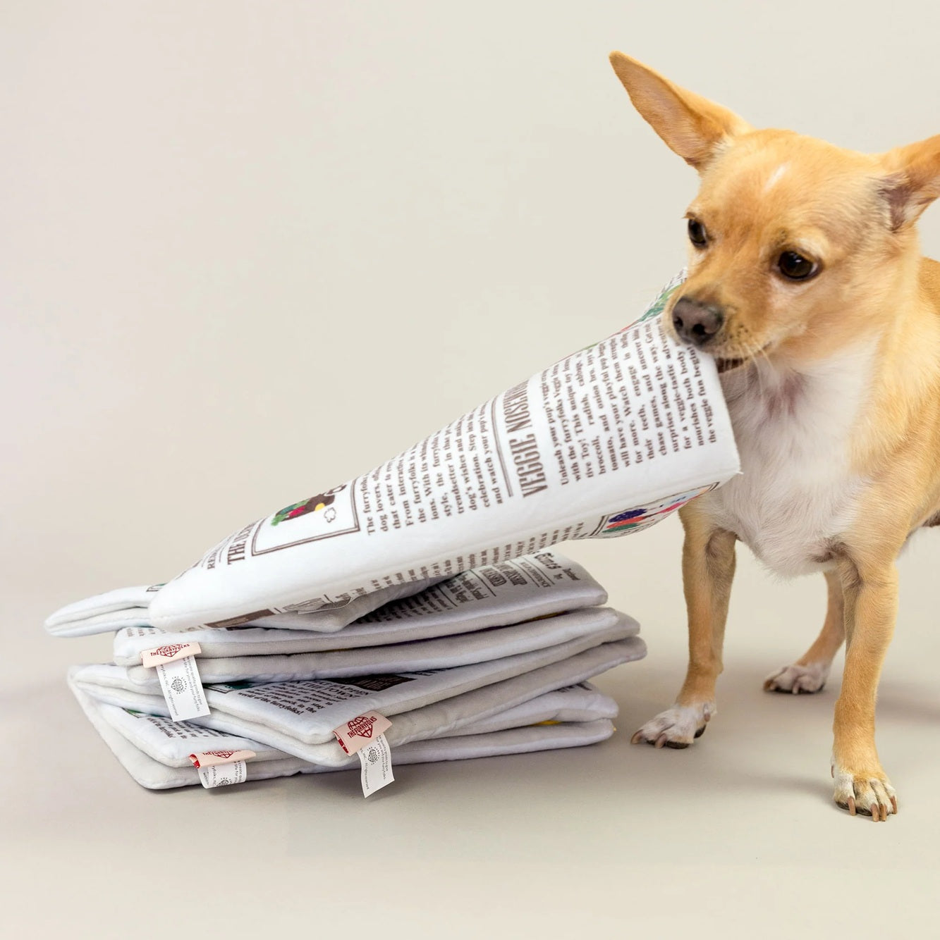Squeaky newspaper-shaped soft toy for dogs, designed for interactive sniffing and treat hunting.