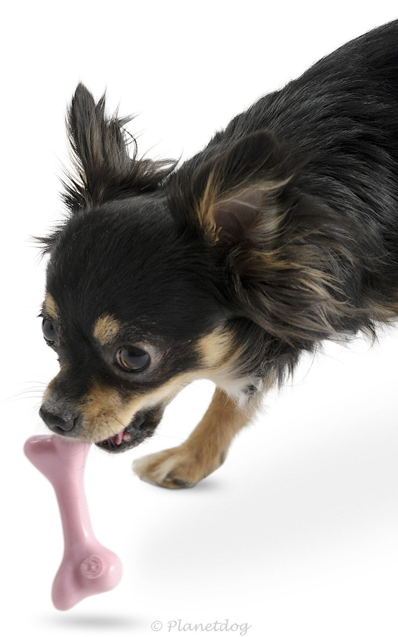 Dog toys: For Pups!