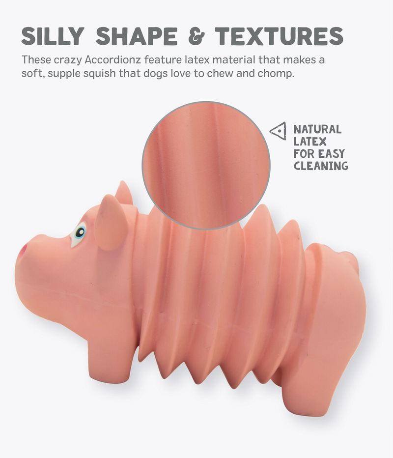 Accordionz the Pink Pig, Grunting Latex Rubber Dog Toy