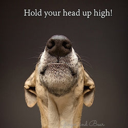 Postcard: Hold your head up high!