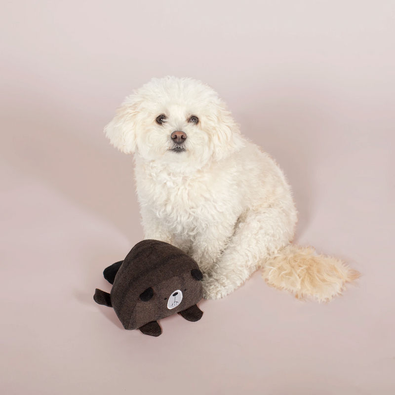 BEAVER Dog Spiky Squeaky Plush toy
