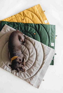 Compass Travel Dog Blanket